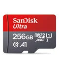 256GB SD Card